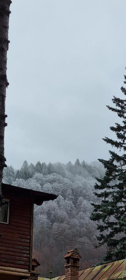 Sophie Apart Belleview Sinaia Buitenkant foto